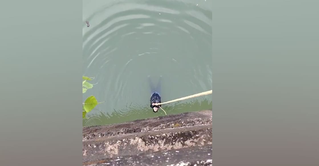 The young hanging onto a rope. Photo: Special Arrangement