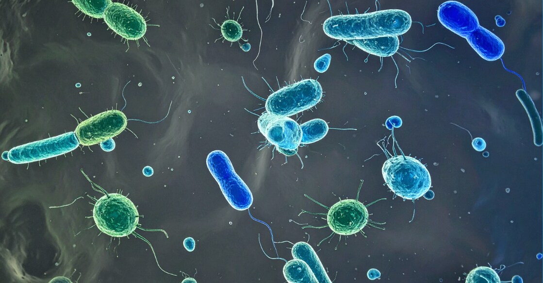 Representational image. Canva. 