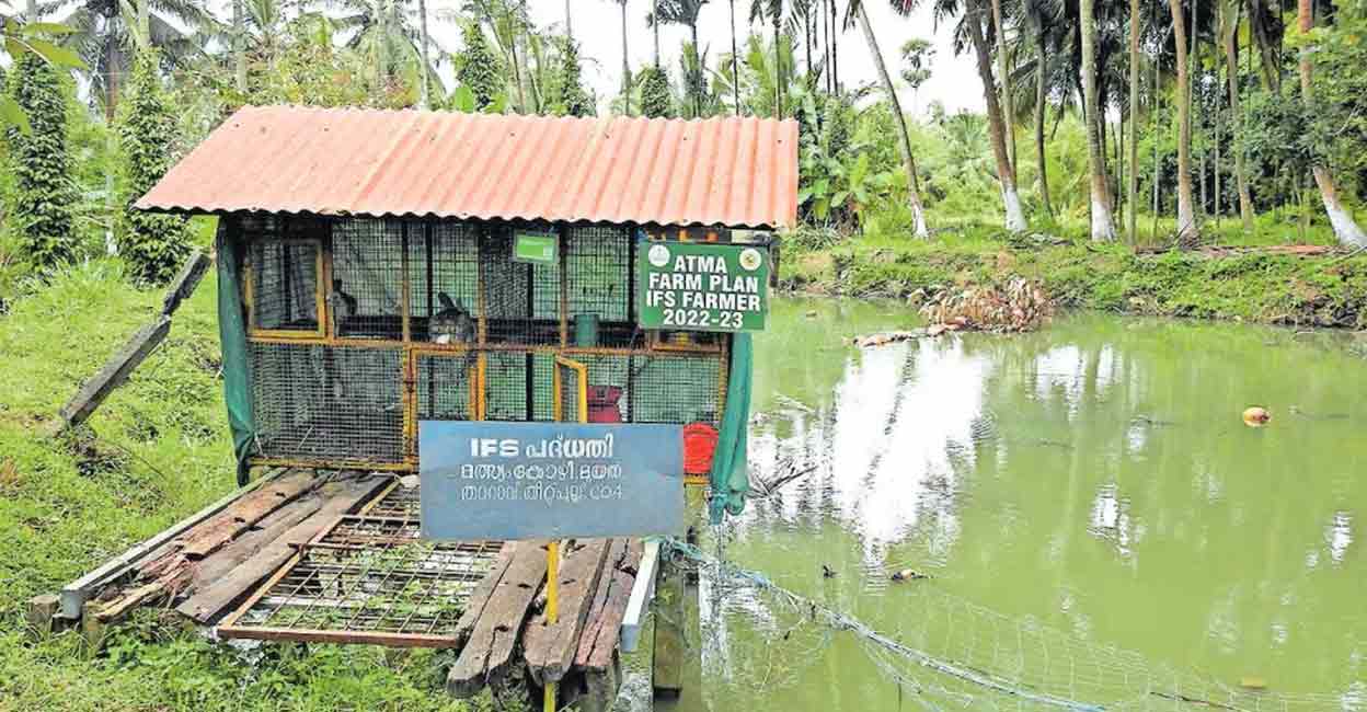Meet Ramachandran of Palakkad who reaped success with his innovative integrated farming methods