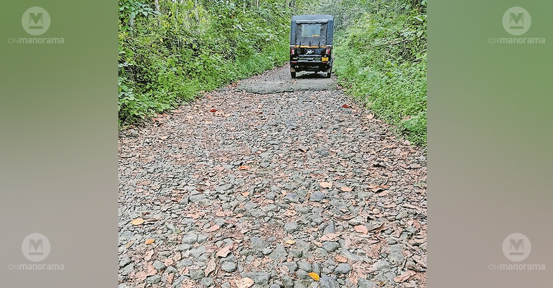 Anjukuzhi–Naranam Moozhy road. Photo: Manorama