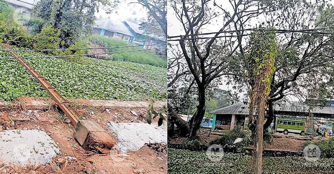 electric-post-tree-fall