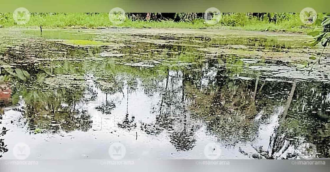 waterlogging-paddy