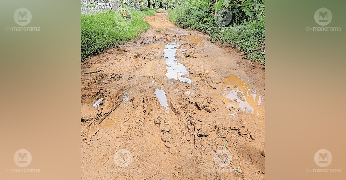 The damaged condition of Karumadi Shakteeshwari Junction–Vilakkumaram road. Photo: Manorama