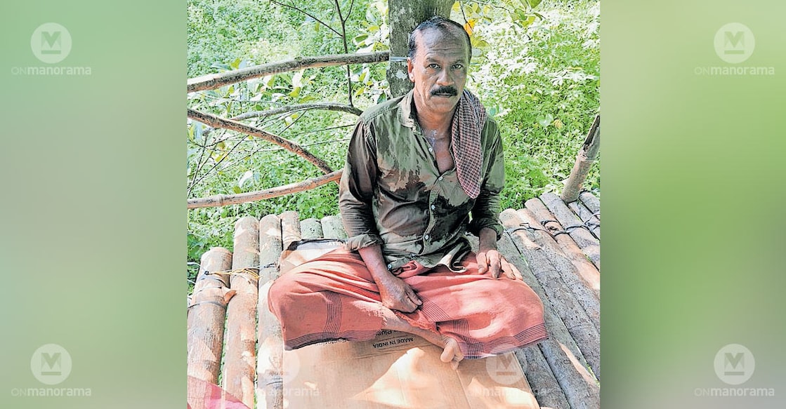 Virakodiyanal Tomy on his tree-top hut, guarding his farm. Photo: Special arrangement