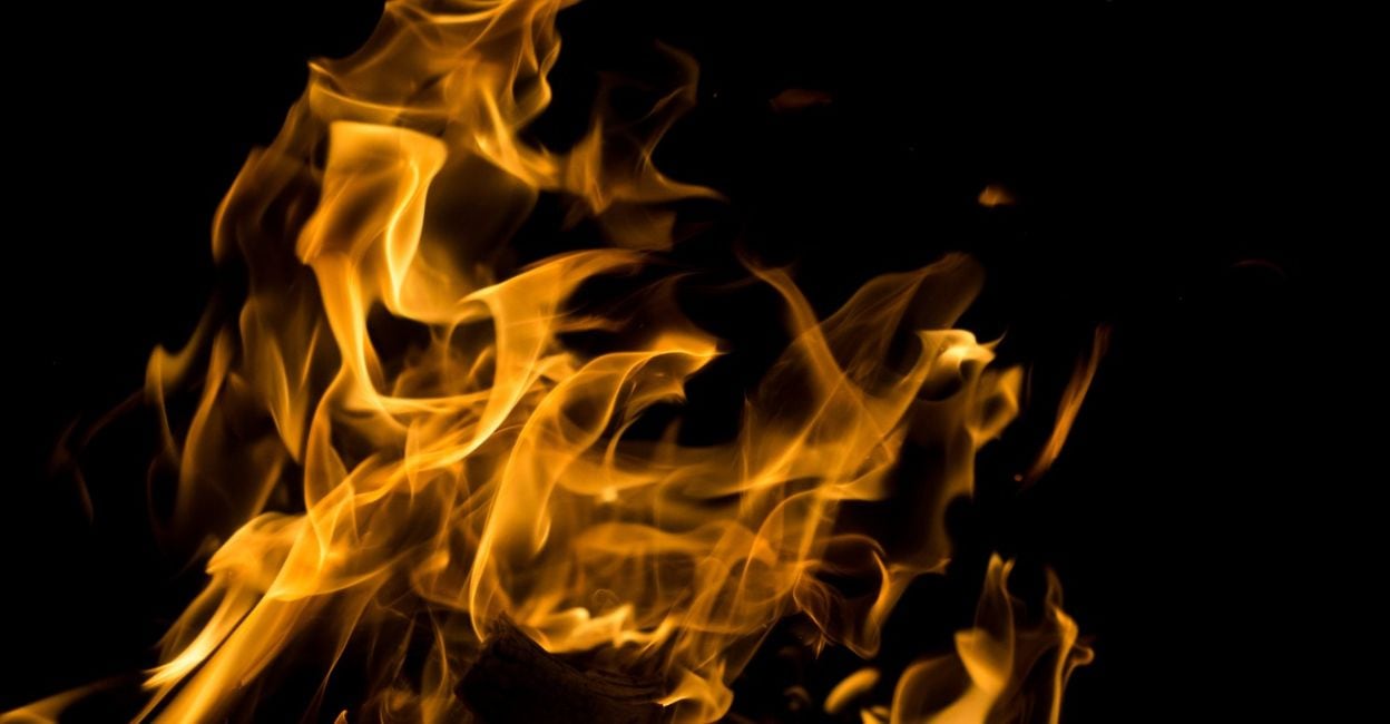 According to the police, the incident came to light after one of the explosives went off when Prakash's pet dog bit it, killing the animal..Kasaragod explosives, LDF candidate explosives, country-made bombs, Kumbadaje explosives, Prakash explosives, wild boar traps, Kerala election news, dog killed by bomb, illegal explosives, Badiadka police, Explosives Act investigation, election candidate land, local body election, Kerala news today, Indian explosives laws