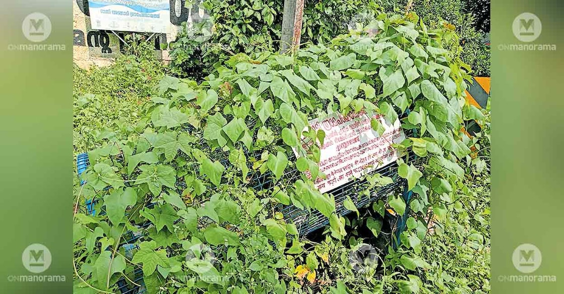 plastic-bottle-recycling