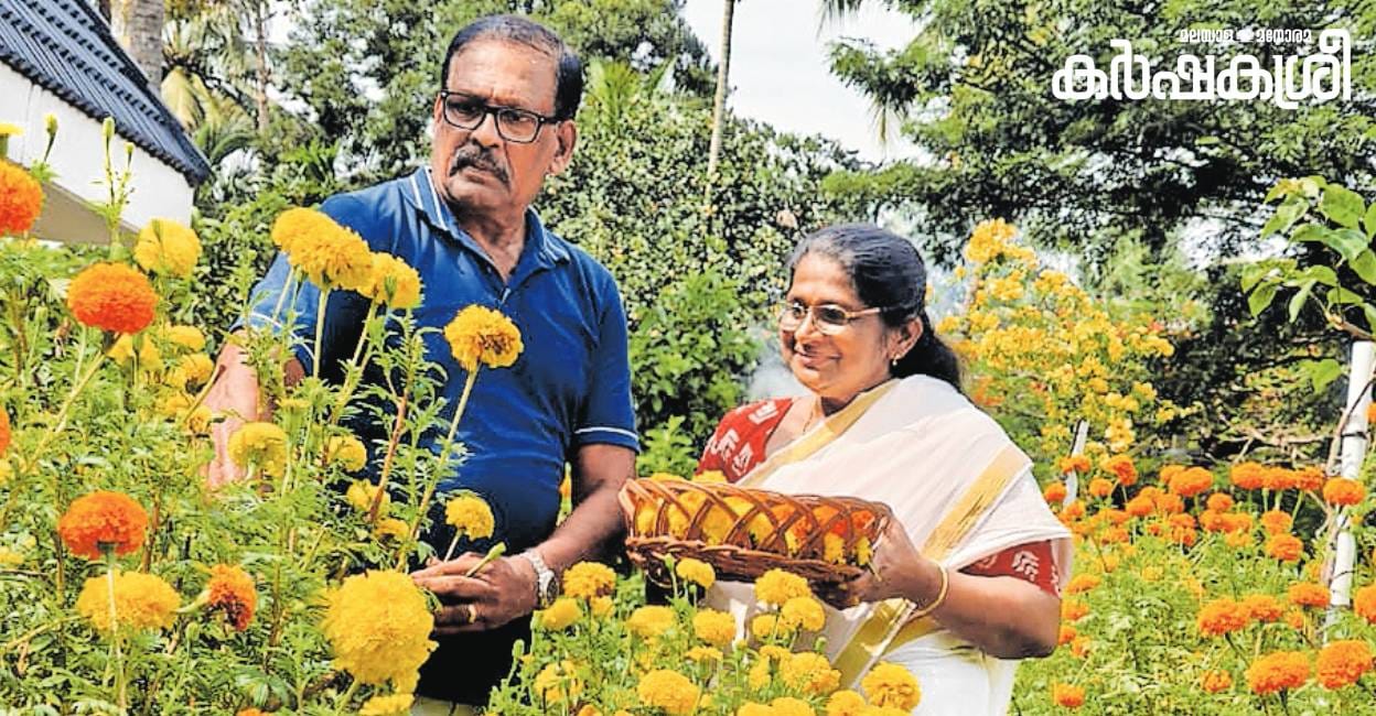 From banking to bountiful harvests: Jose's organic farm i...