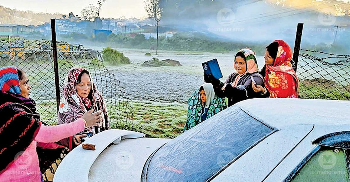 Tourists from Kerala reach Thalaikundha and other lower areas of Ooty as early as 5 am to enjoy the thick mist. Photo: Special arrangement