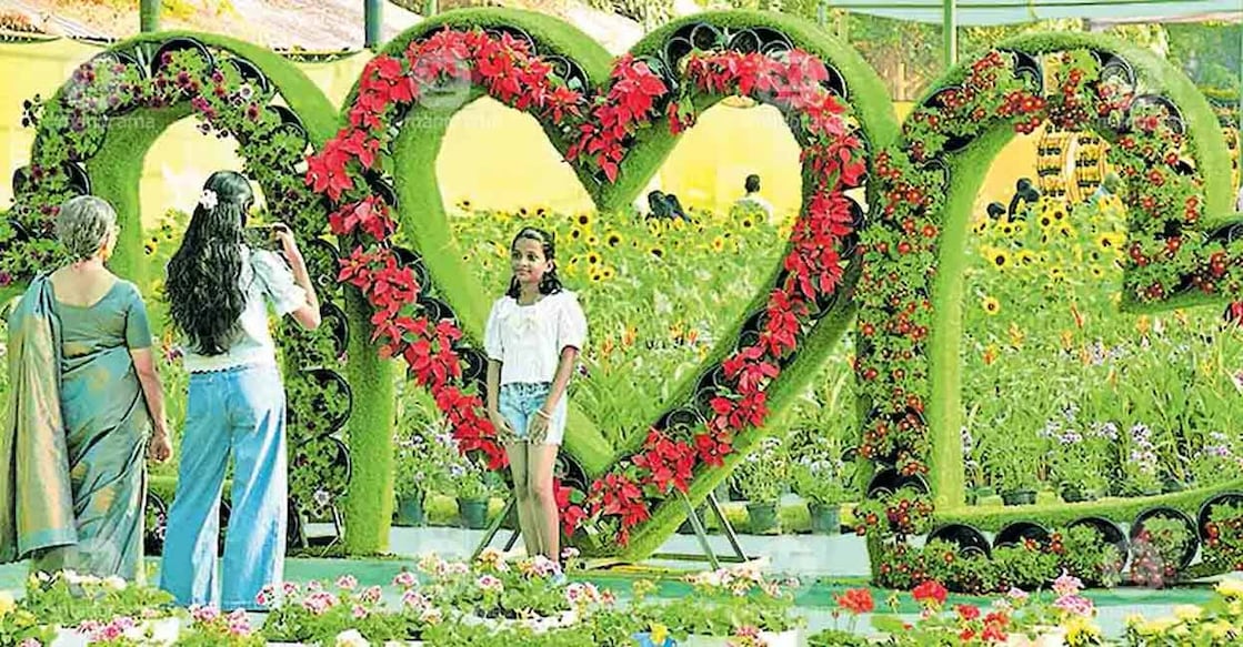 From the flower show at Nagambadam Maidan in Kottayam. Photo: Manorama