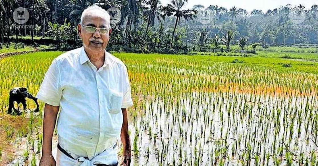 Mohandas Mukundan in his farm. Photo: Special arrangement