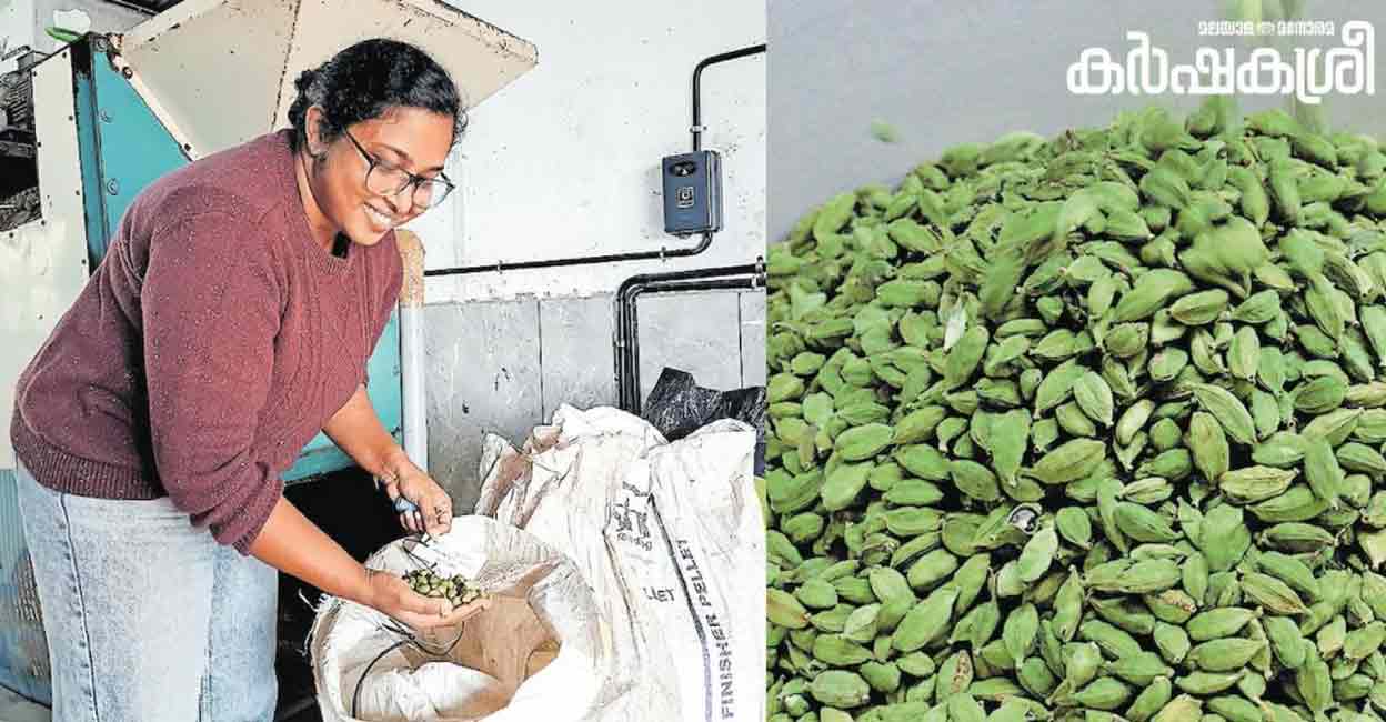 Which pepper is good for recipes? Annu Sunny makes value addition to spices, conquers markets