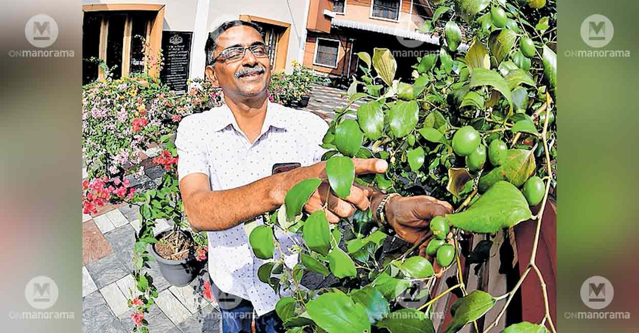 Govt employee in Thrissur who turned office compounds into 'mini-farms' retires