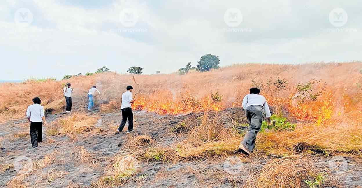 Blaze sweeps through Madayipara in Kannur, students join firefighting effort