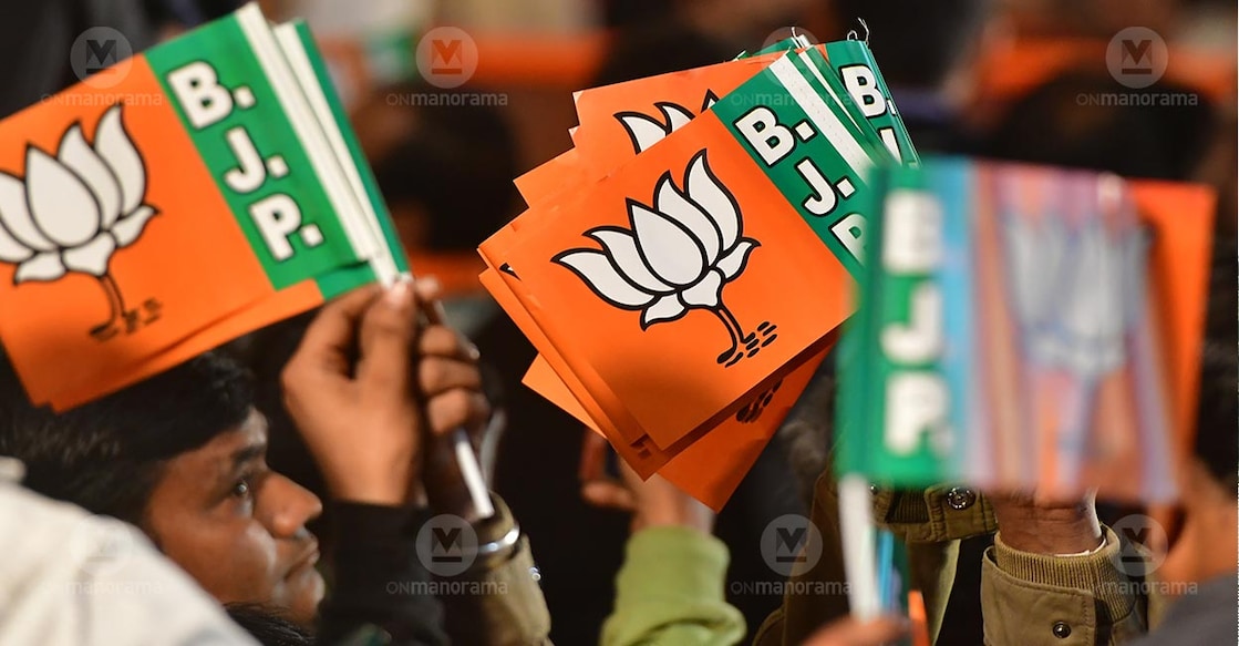 Supporters wave BJP flag. File Photo: AP