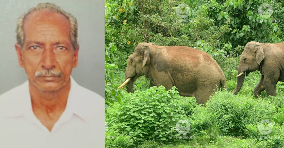 Subrahmanian was attacked by the elephants when he was going to have team from nearby shop at Chaippankuzhi. Photo: Special arrangement/Manorama