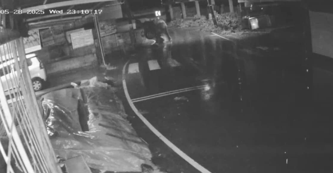 A screengrab from CCTV footage showing the elephant chasing the kids. 