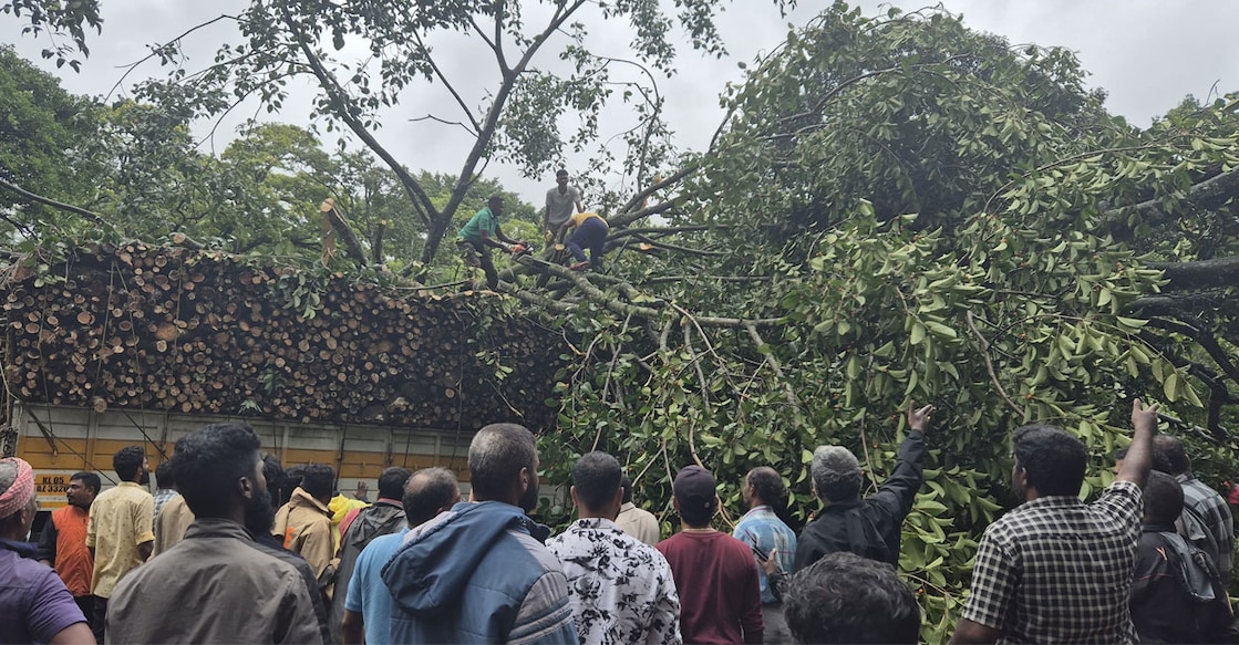 kumily-accident Workers chopping off the fallen tree. Photo: Special Arrangement