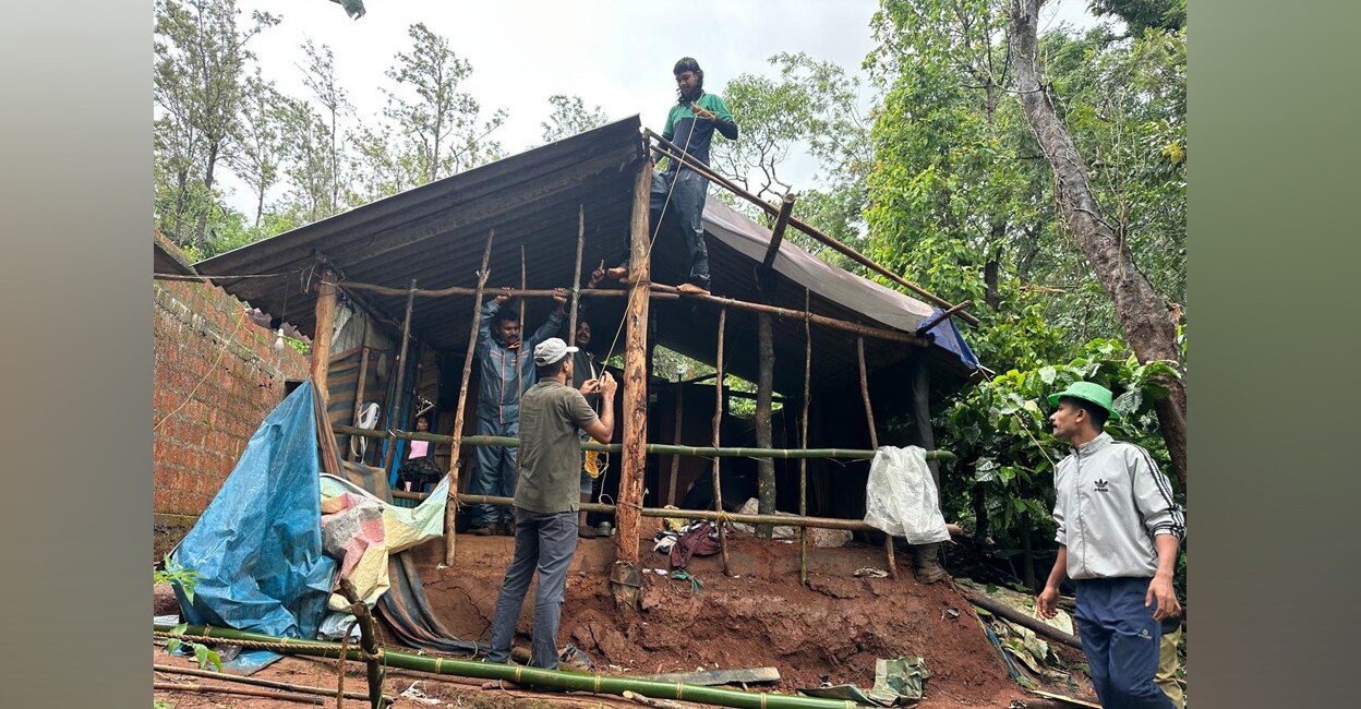 Forest department officials temporarily constructing the shelter for Thambi. Photo: Special arrangement