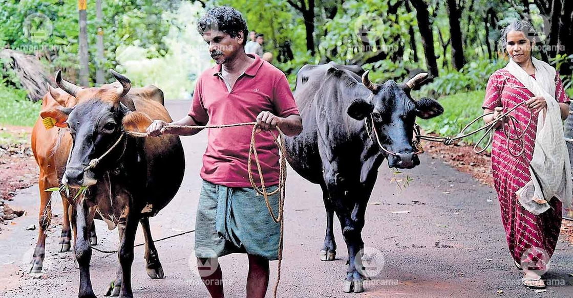 kumar-and-shiji kumar-and-shiji