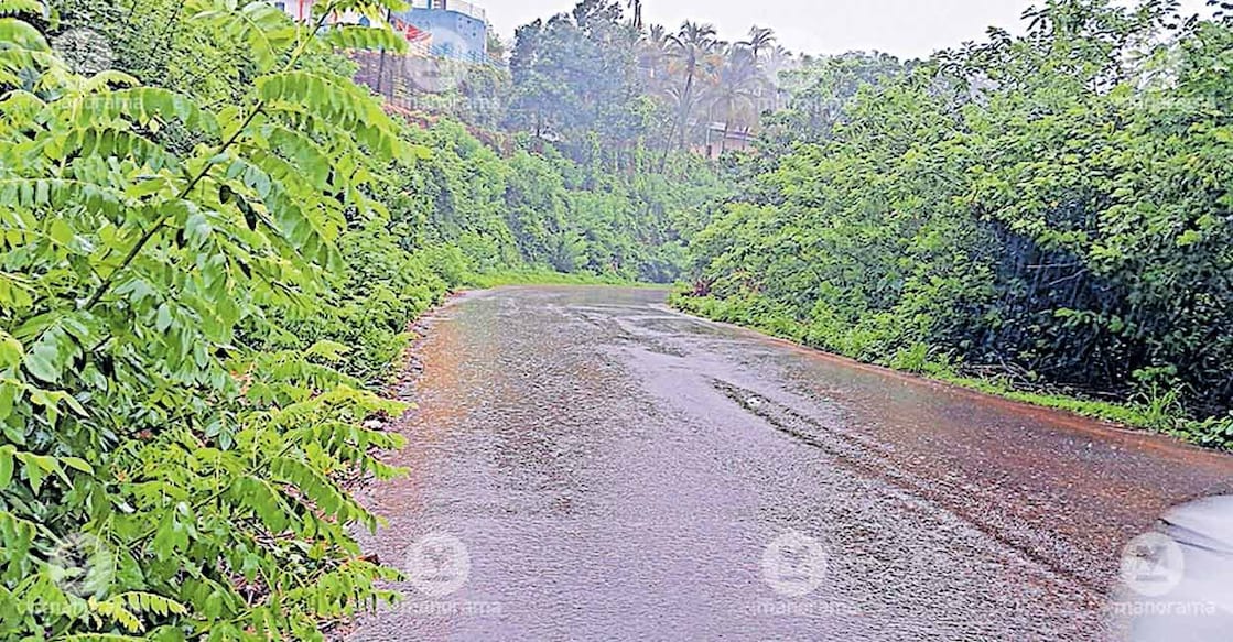 bushes-cherkala-kedanji bushes-cherkala-kedanji