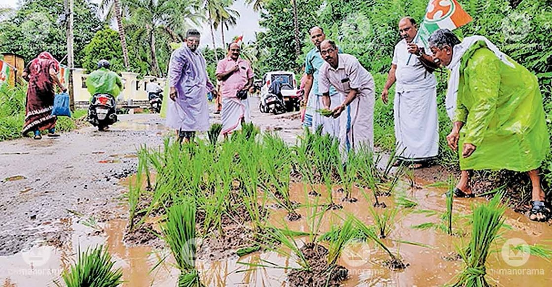paddy-potholes-protest paddy-potholes-protest