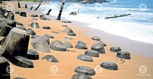 With livelihoods lost & homes threatened, Alappuzha's Ottamassery residents hold on amid rising waves