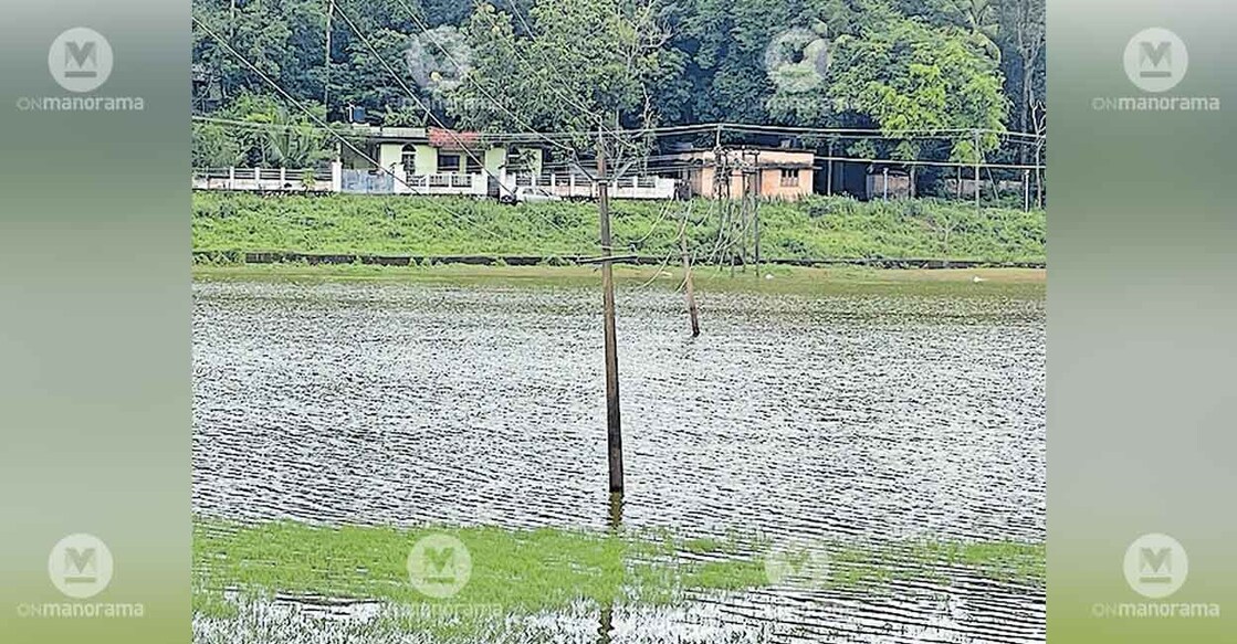 electric-posts-chakkuvalli