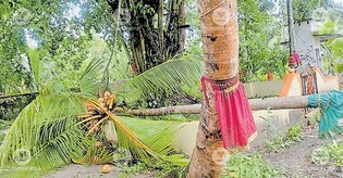 Whirlwinds cause severe damage in Alappuzha's Thrichattukulam