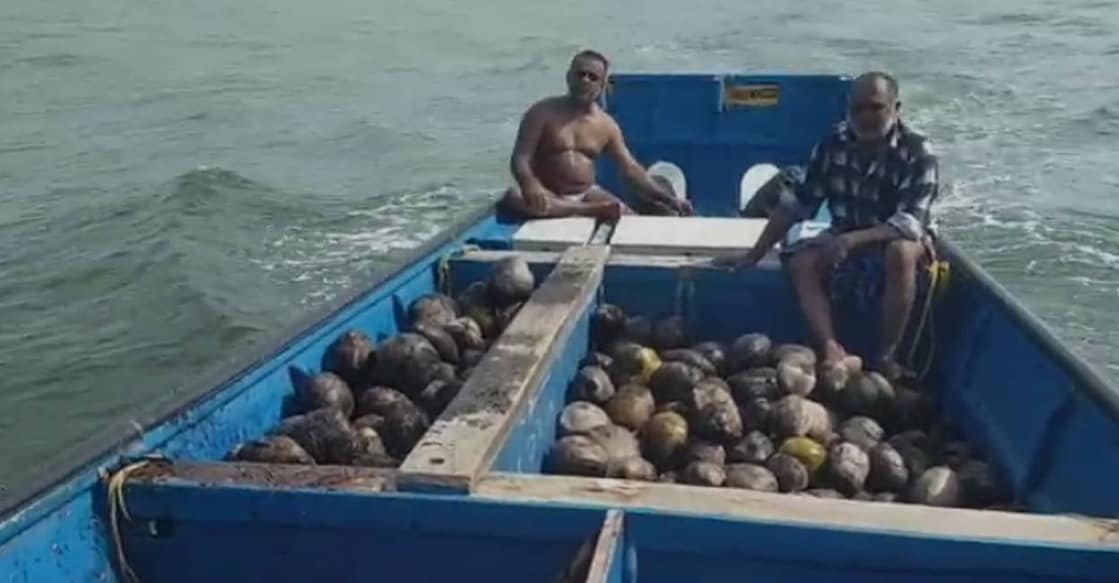 The fishermen collected over three hundred coconuts and loaded them into the smaller boats we use to carry fish. Photo: Special arrangement. 