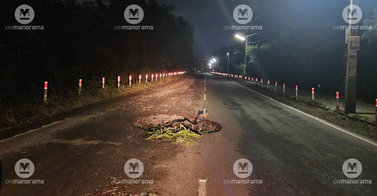 kottayam-development-corridor-3 Despite being constructed to BM (Bituminous Macadam) and BC (Bituminous Concrete) standards, the bypass suffers extensive damage every monsoon. Photo: Manorama.
