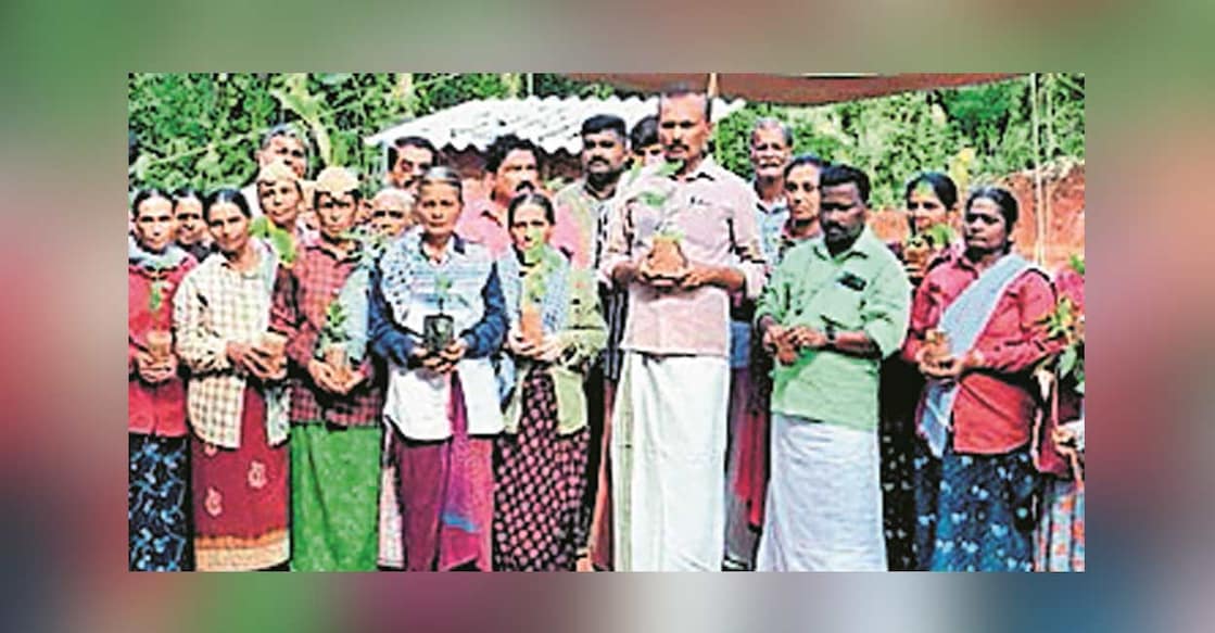 sacred-grove-new-c C K Aravidan (3R), president of the Pullur Periya Panchayat, inaugurates the planting of 41 saplings.