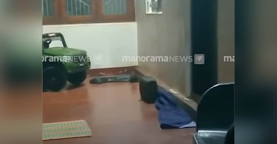 The king cobra was found underneath an electric toy car. Photo: Manorama News