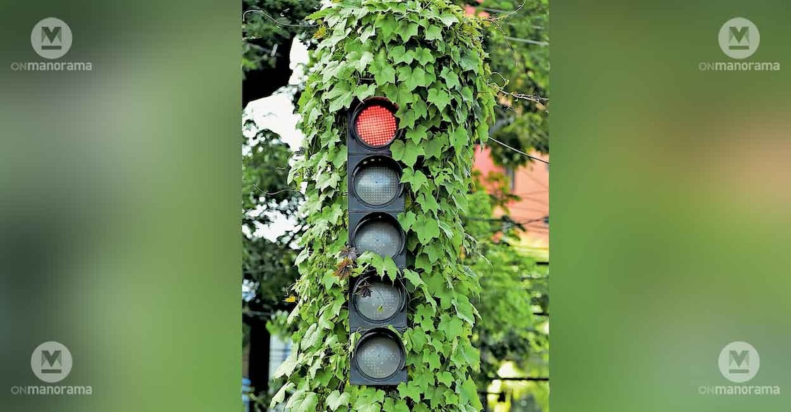 thiruvalla-bypass-signal thiruvalla-bypass-signal