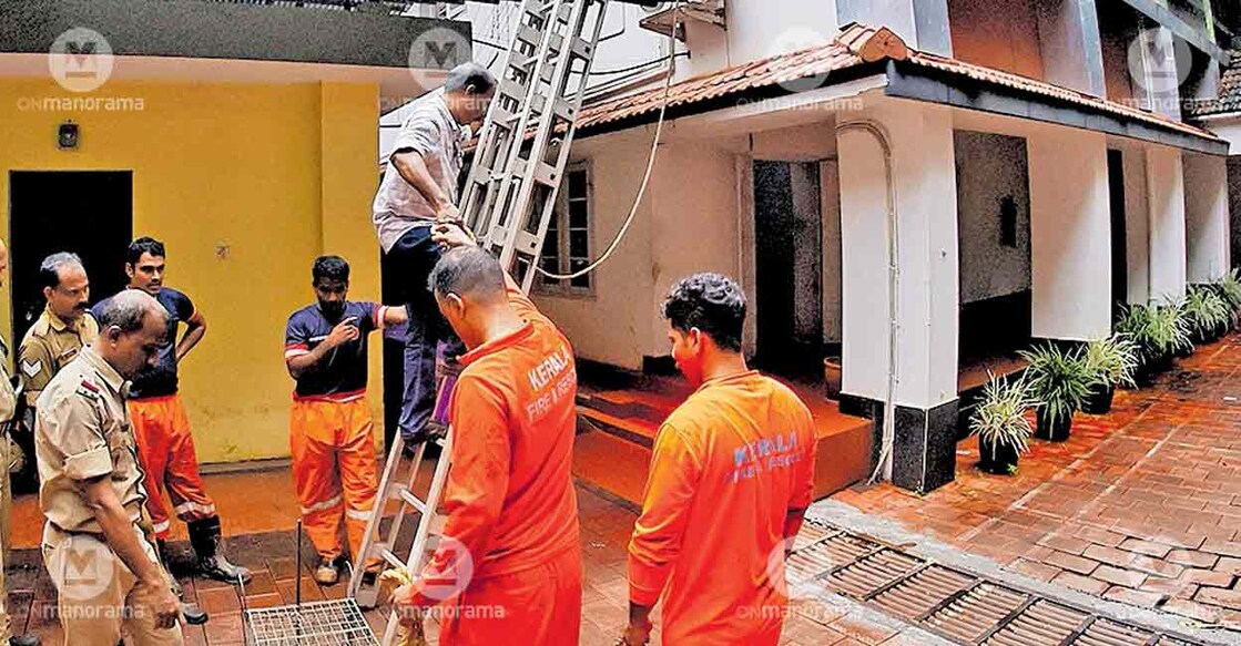 civet-rescue-kozhikode