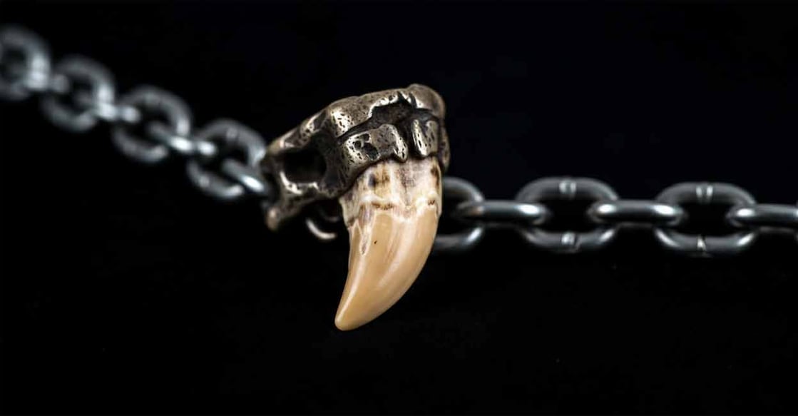 AI-generated representative image for leopard tooth