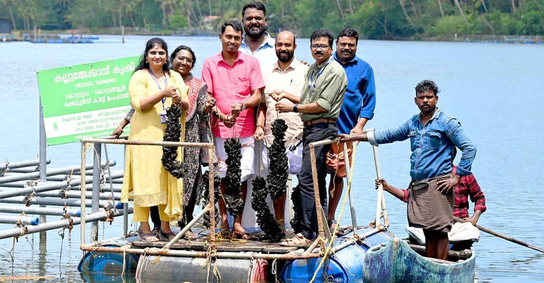 CMFRI officials with farmers while harvesting mussels in Kodungallur. Photo: Special arrangement