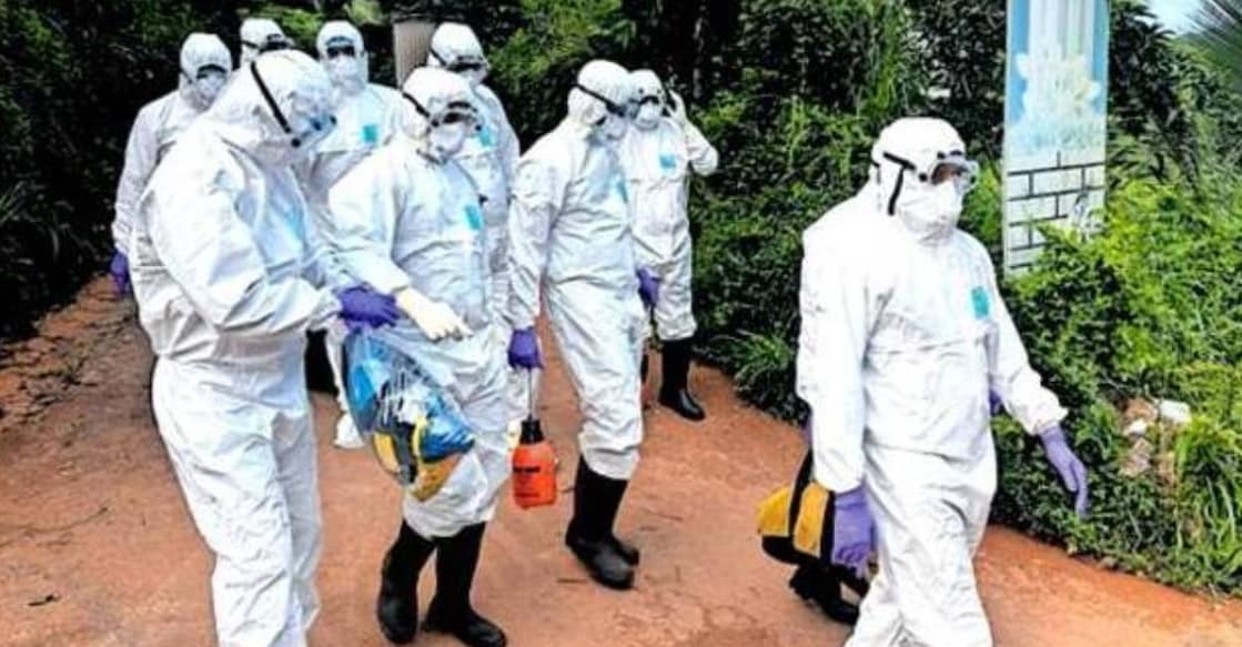 nipah-palakkad Central team visits Palakkad's Kizhakkumburam for collecting swab samples from bats in the region after a woman tested positive for Nipah. Photo: Manorama
