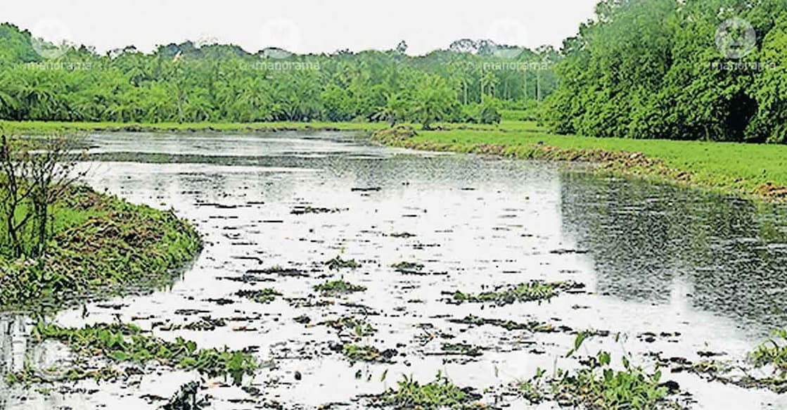 muttar-stream-pandalam muttar-stream-pandalam