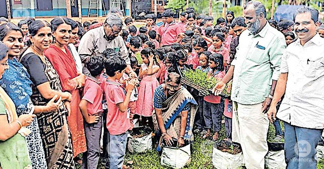flower-garden-akkarappadom