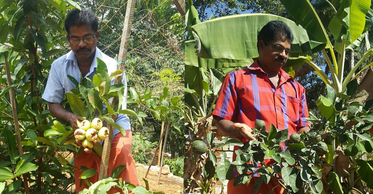 vallam-sundaran Vallam Sundaran at his farm. Photo: Special Arrangement