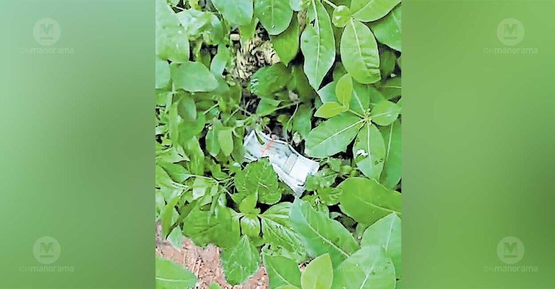 Cash bundle thrown out through a window of the Nilambur Joint RT Office during the Vigilance raid. Photo: Special arrangement