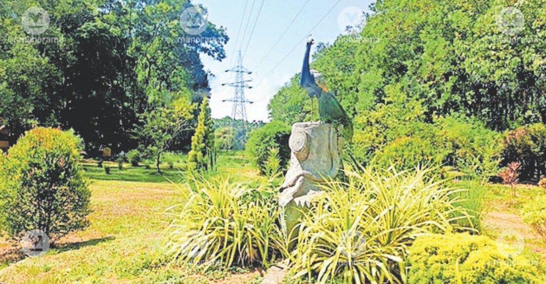 Iritty eco-park in Kannur. Photo: Manorama