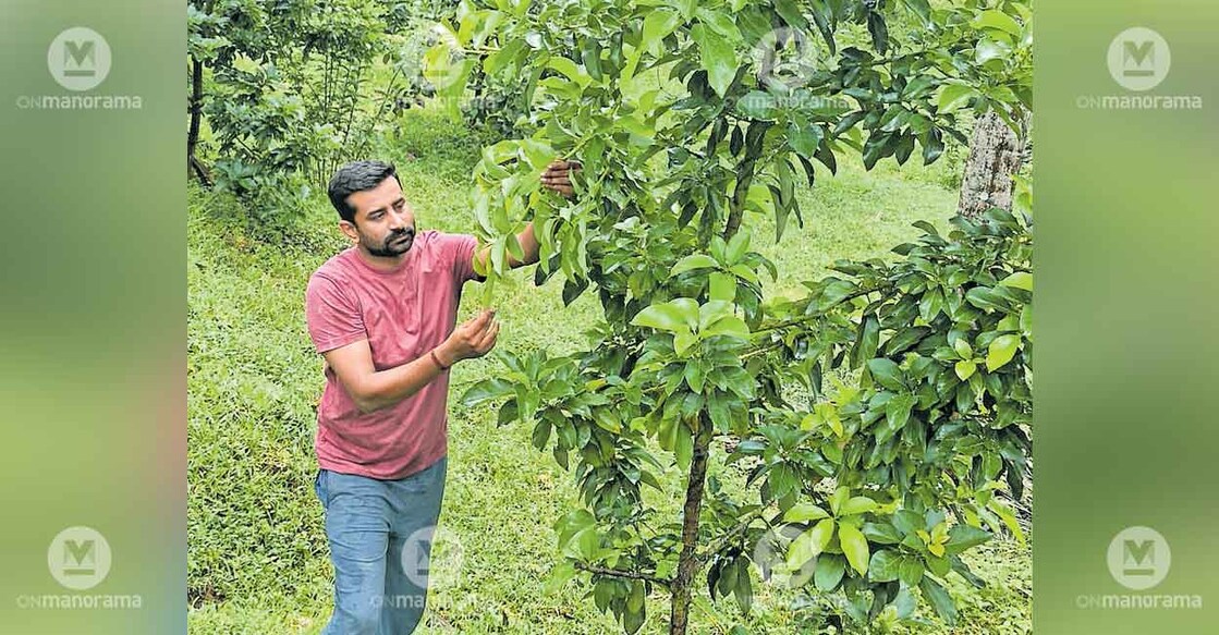 mahendran-ravishankar