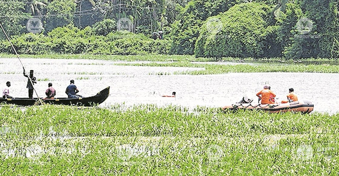 Thrikkannapuram paddy fields. Photo: Manorama.