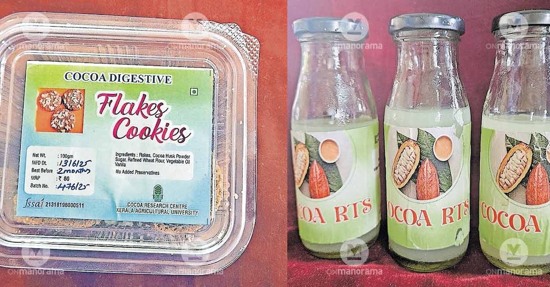 cocoa-research-kerala cocoa-research-kerala