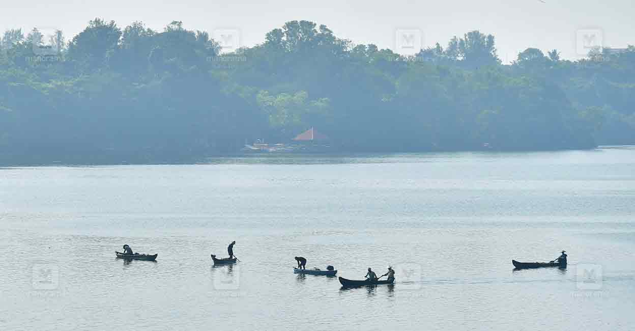 Follow order in a day or Envt dept secretary to face contempt: HC on Ashtamudi lake pollution