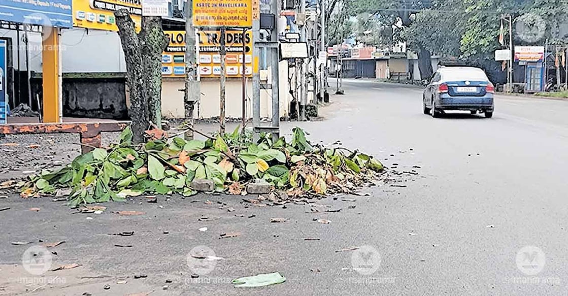 touching-cut-mavelikkara