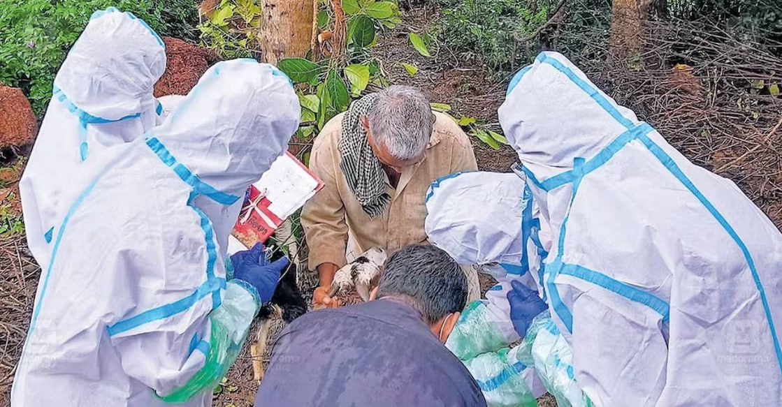palakkad-nipah-inspection palakkad-nipah-inspection