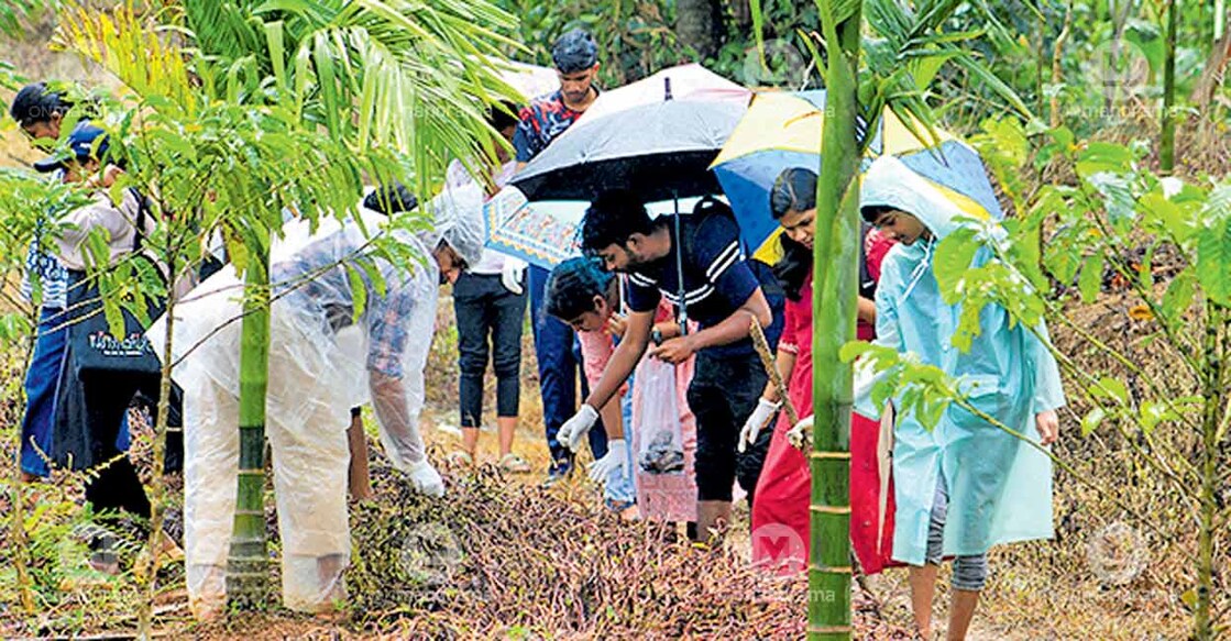 As part of the African snail eradication drive, volunteers capturing the snails during a public search conducted along the Pinangodi river. Photo: Special arrangement