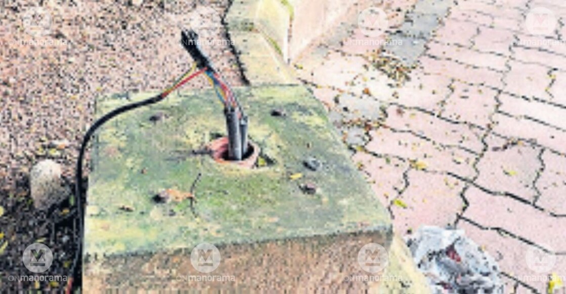 Article Image-Haritha - 5